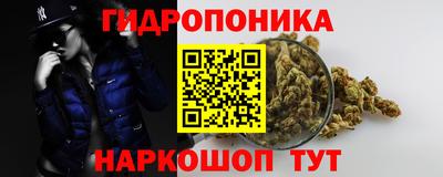 трава Кунгур
