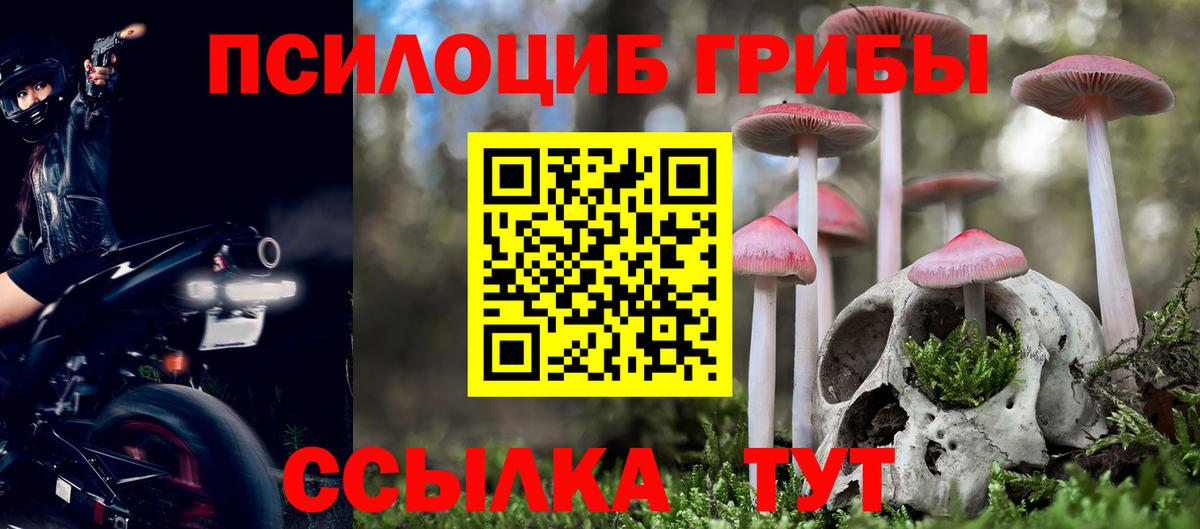 Псилоцибиновые грибы Psilocybine cubensis  Галлюциногенные грибы Cubensis  Ипатово  Вход с VPN 